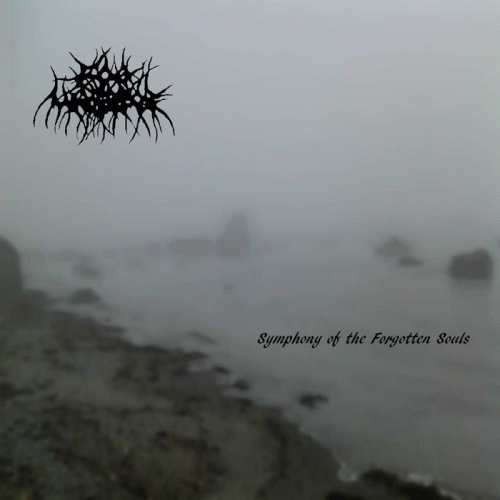 Fog Warrior : Symphony of the Forgotten Souls